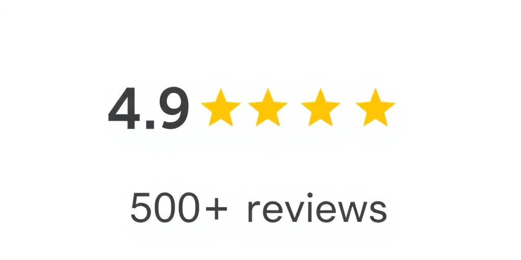 Google Reviews 4.9 star rating with 500+ reviews
